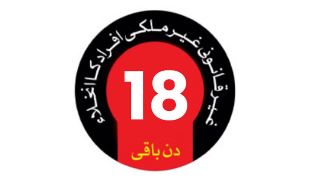 پاکستان میں غیر قانونی طور پر مقیم غیر ملکی شہریوں کے پاس واپس جانے کیلئے 18 باقی