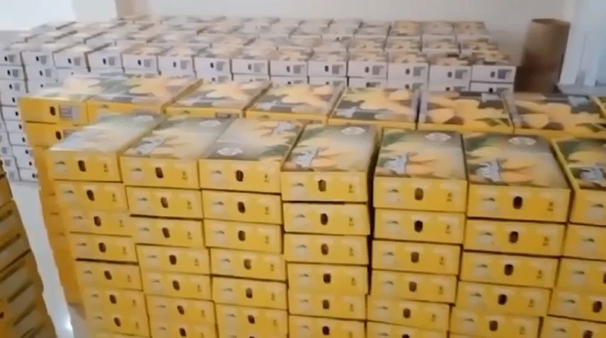 ایس آئی ایف سی کی کوششوں سے پاکستان کی برآمدات میں غیر معمولی اضافہ