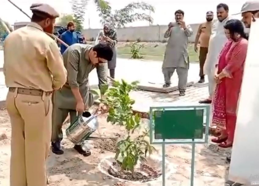 ضلع بھر میں شجرکاری مہم کا سلسلہ بھرپورا نداز میں جاری