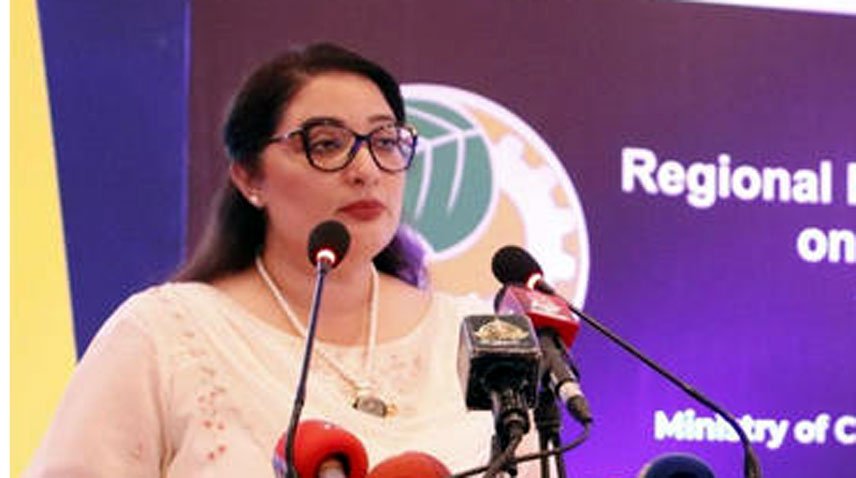 رومینہ خورشید کا ماحولیاتی اثرات سے نمٹنےکیلئے ڈیٹا بینک کے قیام پرزور