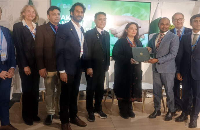 رومینہ خورشید عالم کا قدرتی آفات کے حوالے سے انشورنس پلان متعارف کرانے پر زور