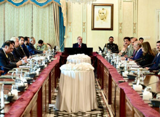 انسانی اسمگلنگ پاکستان کی بین الاقوامی ساکھ کو نقصان پہنچاتی ہے۔ شہباز شریف