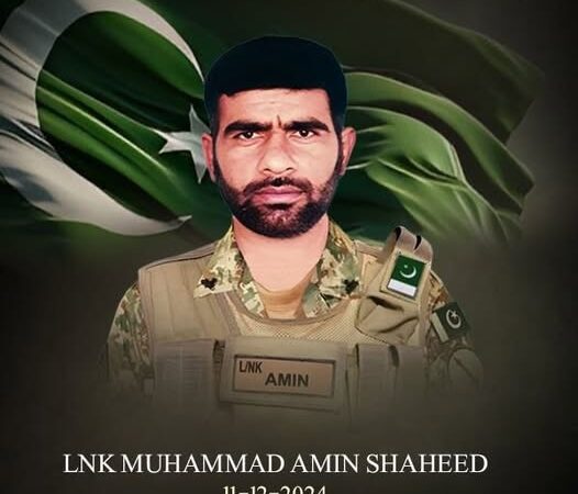 شمالی وزیرستان میں سیکیورٹی فورسز کی کارروائیاں، سات خوارج جہنم واصل،لانس نائیک محمد امین نے بہادری سے لڑتے ہوئے جام شہادت نوش کیا۔