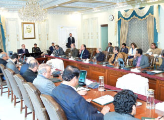 وفاقی کابینہ کی کاربن مارکیٹ میں تجارتی پالیسی گائیڈ لائنز کی منظوری