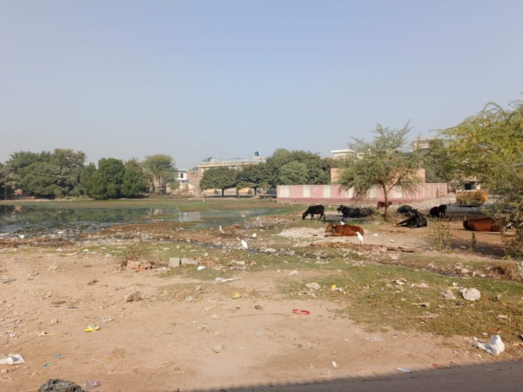 بلدیہ جھنگ کے صفائی کے دعوے اور سیٹلائٹ ٹاؤن کے کچرا کنڈی