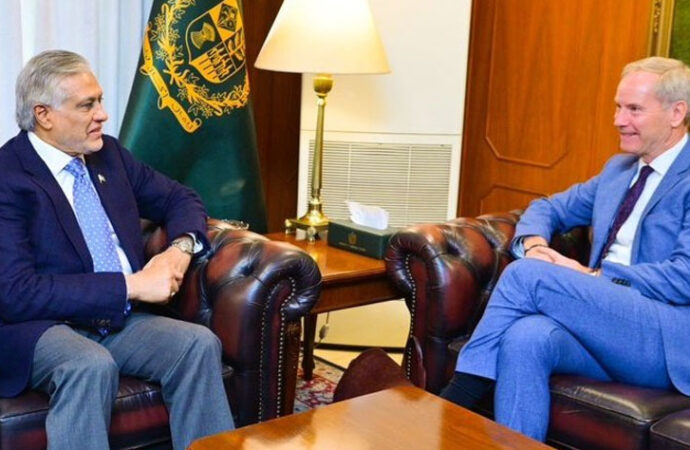 پاکستان بنیادی حقوق کے تحفظ پر پختہ یقین رکھتا ہے،اسحاق ڈار