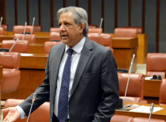 سینیٹ کو بتایاگیا ایک سو پچھہتر بغیر پھاٹک والے لیول کراسنگ کو اپ گریڈ کیا جاچکا ہے