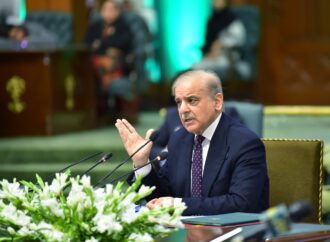 پاکستان سال دو ہزار انتیس تک مضبوط بنیادوں پر کھڑا ہو جائے گا، وزیراعظم