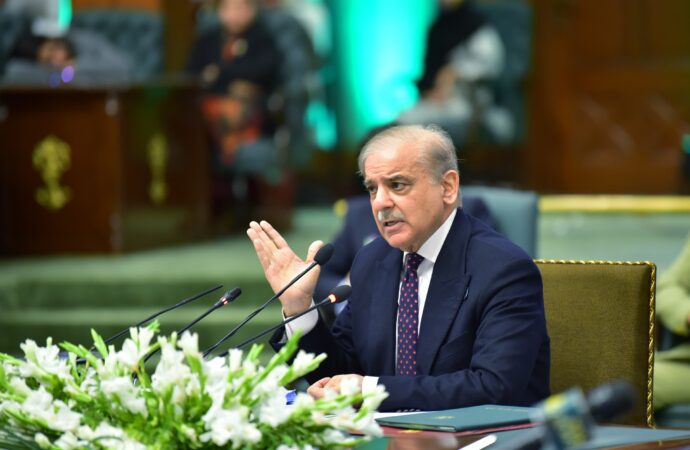 پاکستان سال دو ہزار انتیس تک مضبوط بنیادوں پر کھڑا ہو جائے گا، وزیراعظم