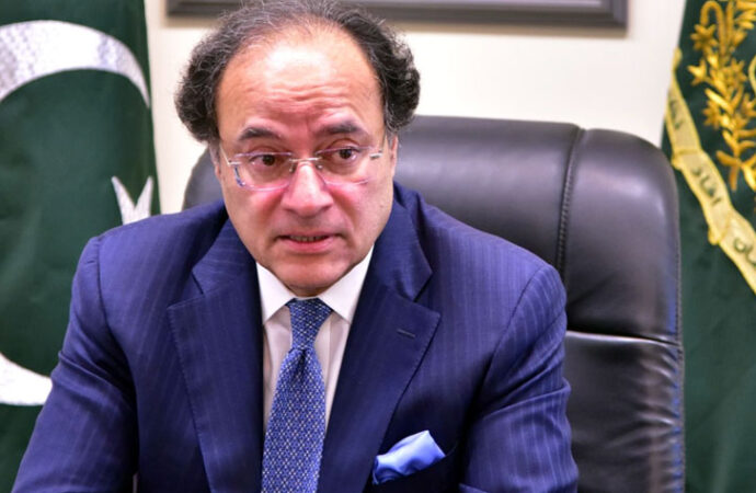 حکومت بجلی کی قیمتوں میں جلدکمی کرے گی،وزیرخزانہ