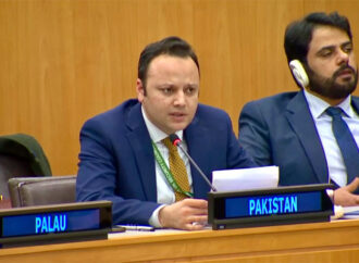 پاکستان جنرل اسمبلی کی کمیٹی میں قرارداد کی منظوری کیلئے اتفاق رائے میں کامیاب