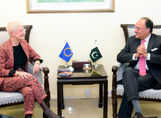 وزیرخزانہ کا یورپی یونین کوپاکستان میں کاروبار کیلئے سہولیات کی فراہمی کا عزم