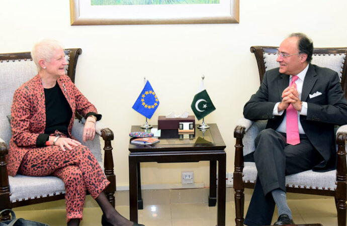 وزیرخزانہ کا یورپی یونین کوپاکستان میں کاروبار کیلئے سہولیات کی فراہمی کا عزم