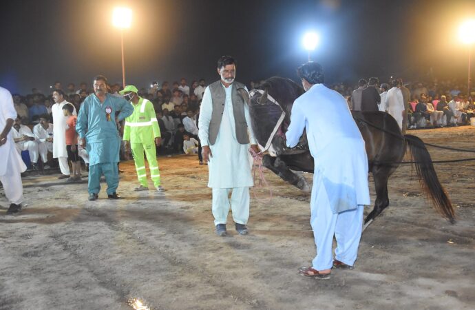 ضلع کونسل کے زیر اہتمام جشن بہاراں جھنگ کی مختلف رنگا رنگ تقریبات تیسرے روز بھی جاری