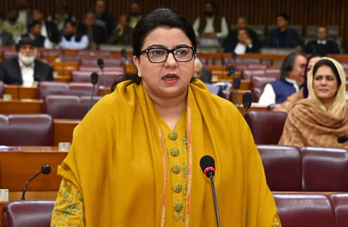 قومی اسمبلی، آن لائن مالی فراڈ کے خاتمے کیلئے سائبر کرائم ایجنسی کام کر رہی ہے