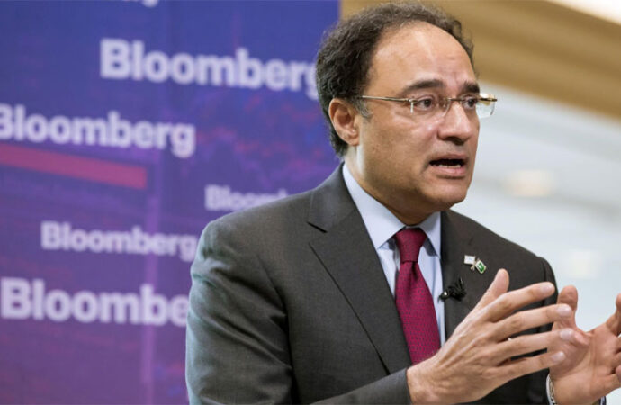 امریکی کمپنیوں کے لیے پاکستان میں سرمایہ کاری کے دروازے کھلے ہیں، وزیر خزانہ