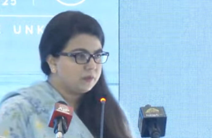 پاکستان قومی سطح پر ڈیجیٹل تبدیلی کے سفر پر گامزن ہے،شزا فاطمہ