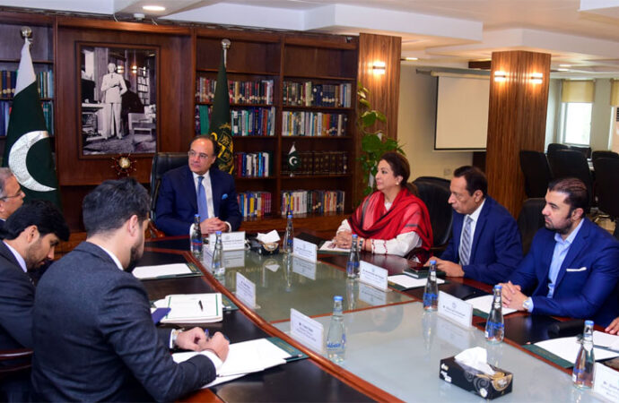 وزیرخزانہ محمد اورنگزیب کی ای سی او کے اقدامات کی حمایت کی یقین دہانی