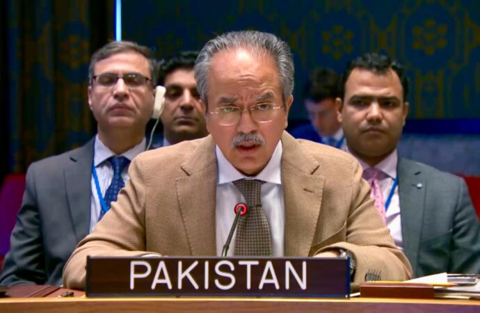 پاکستان کا مغربی افریقہ اور ساحل کے متنوع چیلنجز سے نمٹنے کیلئے اجتماعی حکمت عملی پر زور