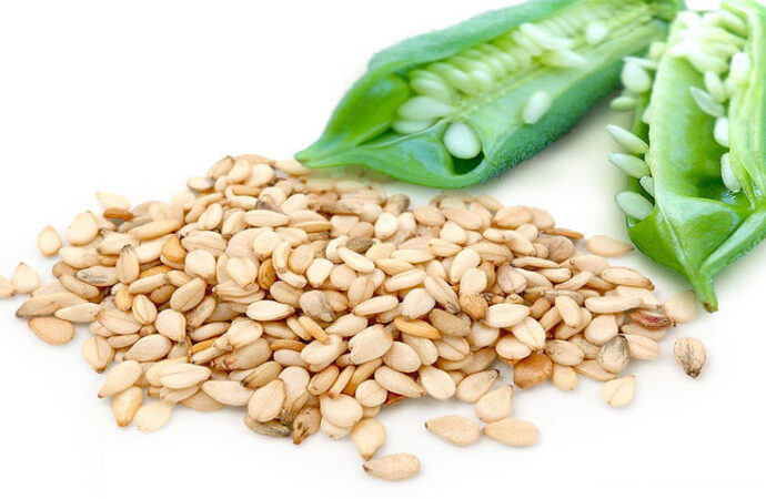 ایس آئی ایف سی کی معاونت سے زرعی برآمدات میں نمایاں اضافہ