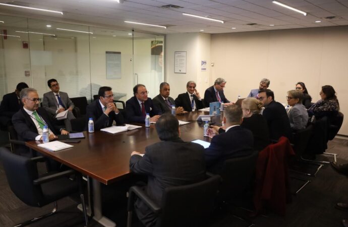 وزیر خزانہ کی آئی ایف سی کی ریجنل وائس پریزیڈنٹ سے ملاقات، اہم امور پر تبادلہ خیال