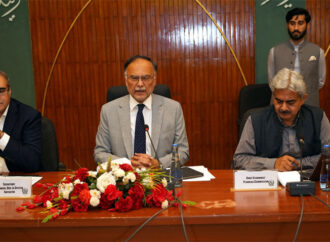 مرکزی ترقیاتی ورکنگ پارٹی نے سات ترقیاتی منصوبوں کی منظوری دے دی