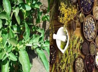 پاکستان میں حکمت میں جدید تحقیق کا فقدان کیوں؟