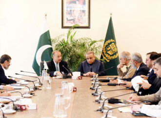 موٹرویزاورہائی ویزکے اطراف پھلوں کے درخت لگانے کے منصوبے کا اعلان