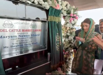 وزیراعلیٰ پنجاب کا لاہور میں سب سے بڑی ماڈل مویشی منڈی کا افتتاح