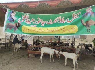 عید الضحیٰ کے حوالے سے ضلعی انتظامیہ کی جانب سے جانوروں کی خریدوفروخت کے لئے ضلع بھر میں پانچ عارضی پوائنٹس قائم کئے گئے ہیں