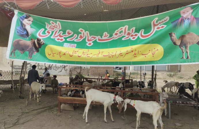 عید الضحیٰ کے حوالے سے ضلعی انتظامیہ کی جانب سے جانوروں کی خریدوفروخت کے لئے ضلع بھر میں پانچ عارضی پوائنٹس قائم کئے گئے ہیں