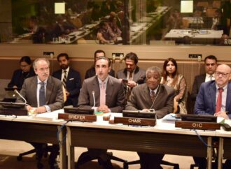 پاکستانی وفدکی او آئی سی کے رکن ممالک کوجنوبی ایشیا کی صورتحال پربریفنگ