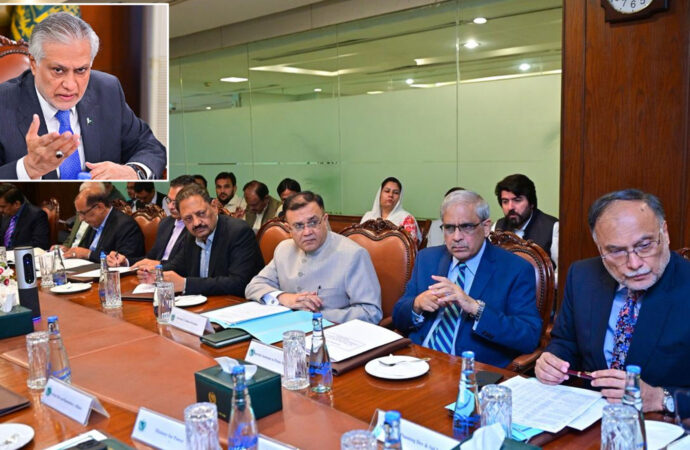 نائب وزیراعظم کی ترقیاتی اہداف بروقت پورے کرنے کی ہدایت