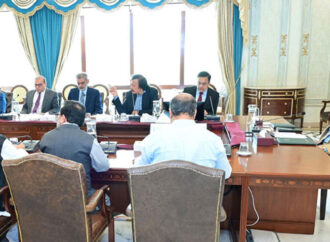 وزیراعظم محمد شہباز شریف کی قومی صنعتی پالیسی کو جلد حتمی شکل دینے کی ہدایت