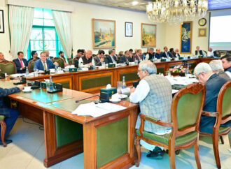 نائب وزیراعظم کا یو اے ای کیساتھ معاشی و تجارتی تعلقات مستحکم بنانے کے عزم کا اعادہ