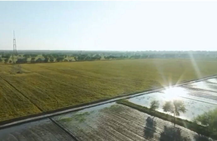 زراعت اور لائیوسٹاک کے شعبوں میں پائیدار ترقی کی راہ ہموار