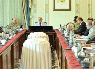 تعلیم میں جدت اور نوجوانوں کی فنی تربیت حکومت کی اولین ترجیح ہے، وزیراعظم شہباز شریف