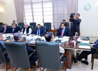 وزیراعظم کی نیشنل شپنگ کارپوریشن کو عالمی معیار کا ادارہ بنانے کیلئے منصوبہ وضع کرنے کی ہدایت