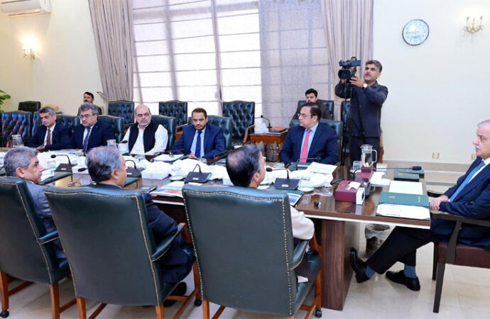 وزیراعظم کی نیشنل شپنگ کارپوریشن کو عالمی معیار کا ادارہ بنانے کیلئے منصوبہ وضع کرنے کی ہدایت