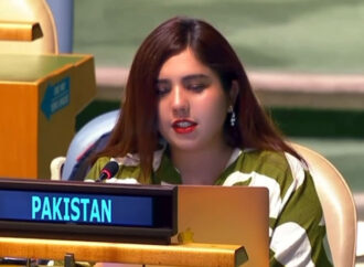 بھارت میں اقلیتیں مسلسل خوف اور جبر کے سائے تلے زندگی گزار رہی ہیں:ربیعہ