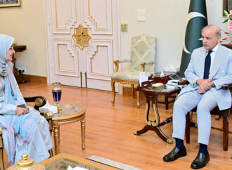 حکومت ڈاکٹر عافیہ صدیقی کی ہر ممکن معاونت جاری رکھے گی، وزیراعظم