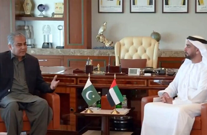 پاکستان ،یو اے ای کا ویزوں کےحصول میں آسانی کیلئے اقدامات پراتفاق