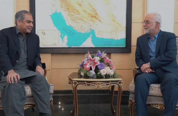 سہ ملکی کانفرنس سے زائرین کے مسائل حل کرنے میں مدد ملے گی،وزیر داخلہ