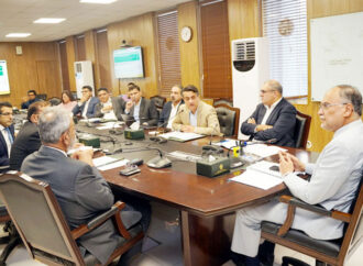 وزیر منصوبہ بندی کا نجی شعبے کی سرمایہ کاری صلاحیتوں کو بر وئے کار لانے پر زور