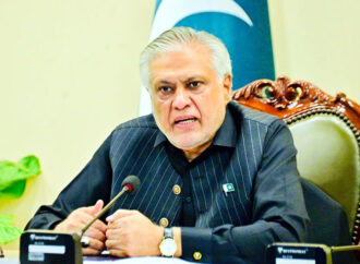 نائب وزیراعظم کا اقتصادی ترقی کیلئے سرمایہ کاری کے امکانات کی تلاش پر زور