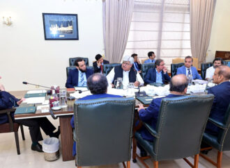 کسٹمز کلیئرنس اور رسک مینجمنٹ سسٹم سے نظام میں شفافیت آئے گی،وزیراعظم