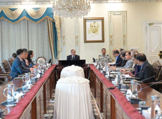 چینی صنعتوں کو پاکستان میں سرمایہ کاری کی دعوت دیتے ہیں، وزیراعظم