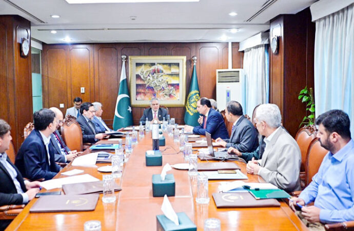 نائب وزیراعظم کی اشیائےخورو نوش کی بلا تعطل دستیابی یقینی بنانے کی ہدایت