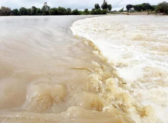 دریاۓ چنا ب میں سیلاب صورت حال ، ہیڈ تریموں پر 8 لاکھ کیو سک سے زائد پانی متوقع کل تک صورت حال واضع ہو جائے گی ڈپٹی کمشنر