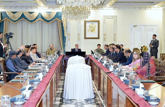 وفاقی کابینہ ارکان کی ایک ماہ کی تنخواہ سیلاب متاثرین کیلئے عطیہ کرنے کا اعلان